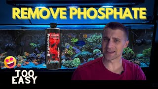 Brightwell PhosphateE to Remove Phosphates in a Reef Tank [upl. by Kunin277]