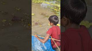 Village boy catching deshi fish by ucha net in Beel water uchanettrap trapfishing catchfish [upl. by Nennarb119]