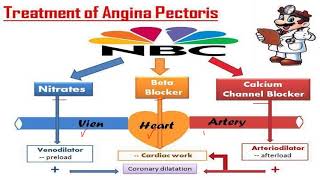 Lecture 4 Antianginal drugs Karmalawy [upl. by Waynant696]