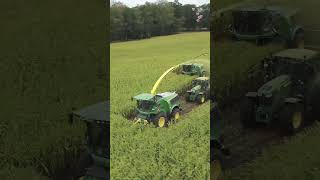 This team is strongreaper silagemachine modern agriculture shorts viralvideo youtubeshorts [upl. by Petronilla]