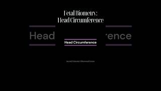 Head Circumference HC [upl. by Tandy]