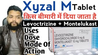 Xyzal M Tablet Review  Levocetrizine amp Montelukast Tablet Uses Mechanism Of Action amp Dose In Hindi [upl. by Wilburn287]