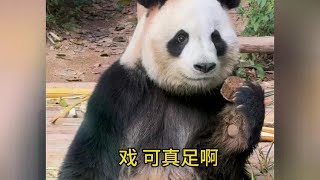 戏精园舟 吃窝头烫嘴吗？ 窝头入口无数次 依然毫发无损的 [upl. by Ennaus222]