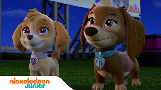 PAW Patrol  La Pat Patrouille  Les meilleurs moments de la saison 9 Partie 1  Nickelodeon Jr [upl. by Nihs]