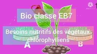 Besoins nutritifs des végétaux chlorophylliens [upl. by Anawal]