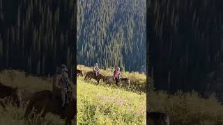 Horse trekking in the beautiful kolsay lake [upl. by Annehs533]