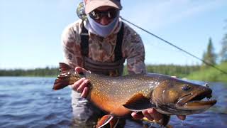 65 pound Brook Trout on a Mouse [upl. by Truscott489]