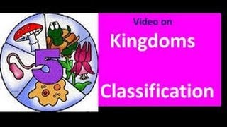 Classification of Living things for Kids [upl. by Smith136]