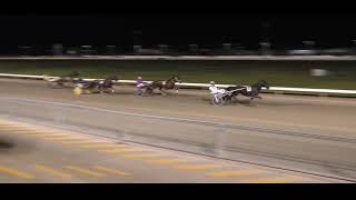 Mildura Harness Racing Club 30 Sep 2024 Trial 4 [upl. by Stamata]