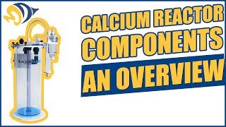 Calcium Reactor Components  An Overview [upl. by Adamski]