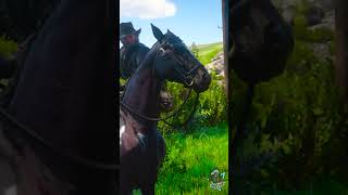 Hypocrite 😵‍💫rdr2 gameplay shorts [upl. by Pierce770]