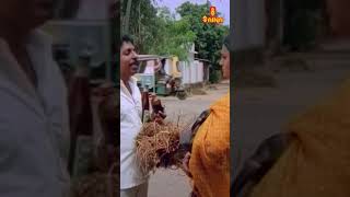 എനിക്ക് ഫ്രീയായിട്ട് കുറച്ച് തല്ല് കിട്ടി  Gandhinagar 2nd Street Movie Comedy Scene [upl. by Muhan]