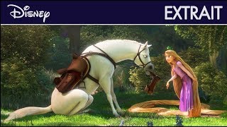 Raiponce  Extrait  Lapprivoisement de Maximus  Disney [upl. by Droflim205]