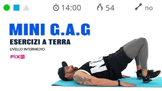 Esercizi Per Gambe Addominali e Glutei Allenamento Veloce GAG [upl. by Aneek358]