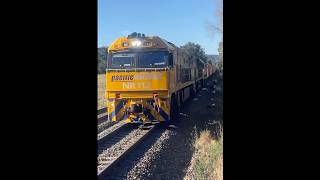 Pacific Nationals 6NY3 through Burradoo train freighttrain [upl. by Aloisius892]