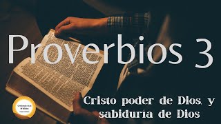 ¿Qué es la Biblia ¿cómo se formó y ¿cuál es su propósito [upl. by Anett]