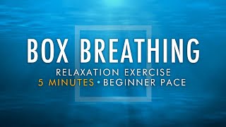 Box Breathing Relaxation Exercise  5 Minutes Beginner Pace  Anxiety Reduction Pranayama Technique [upl. by Luhem158]