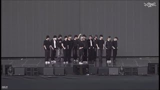 SEVENTEEN quotMAESTROquotダンス反転動画 [upl. by Sherris]