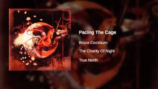 Bruce Cockburn  Pacing The Cage [upl. by Carole889]