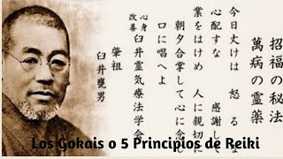 Reiki y los 5 Principios o Gokais  Shindo Reiki [upl. by Lancelot]