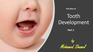 1 Oral BiologyTooth development PART 1 quick review [upl. by Still4]