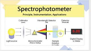 spectrophotometer working principle [upl. by Scholem]