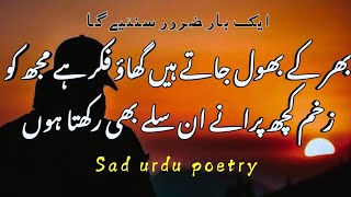 zakham Kuchh purane unsilay bhi Rakhta hunbest urdu 2 line poetrymunawar faruqui shayari status [upl. by Aridnere]