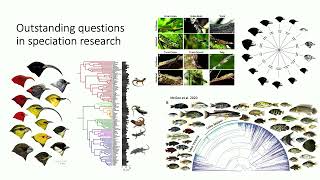 Dr Liz Alter Presents Genomic investigations into the evolution of hyperdiverse fish clades [upl. by Edan]