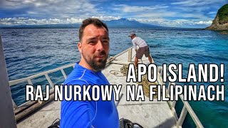 Nurkowanie na Filipinach  Apo Island  Najlepsze miejsce nurkowe [upl. by Zack]