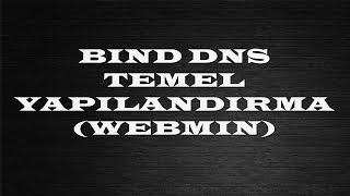 Webmin Üzerinden BIND DNS Public Yapılandırma [upl. by Retsof]