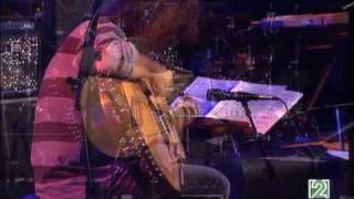 Pat Metheny amp Pikasso guitarwmv [upl. by Ynolem]