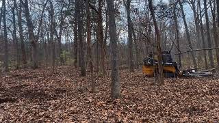 John Deere 325G brush cutting saplings and underbrush [upl. by Weyermann]