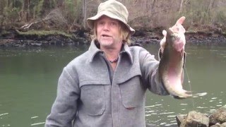 White River AR Trout World Class Fishing [upl. by Kra]