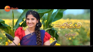 Chamanthi Teaser  Brand New Serial  Coming Soon  Zee Telugu [upl. by Orv389]