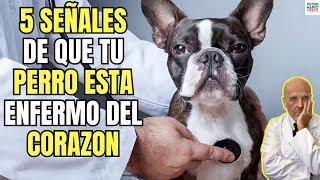 🚨5 SINTOMAS DE INSUFICIENCIA CARDIACA EN PERROS 🚨 [upl. by Adi]