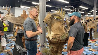 Oklahoma Taxidermy Competition 2022  Showroom Walkthrough [upl. by Bensen749]