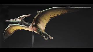 Jurassic Park 3 Pteranodon Sound Effects [upl. by Sarid]