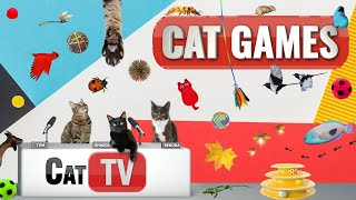 CAT Games  Ultimate Cat TV Compilation Vol 44  2 HOURS 🐝🐞🦋🦎🦜🐜🐭🧵 [upl. by Adnalohs]