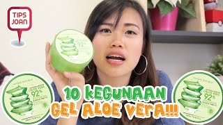 10 Kegunaan Gel Aloe Vera  TIPS NIHAO [upl. by Paresh431]