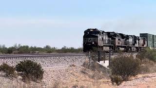 Heard of black horses stampeding across the Gila Sub [upl. by Roeser]