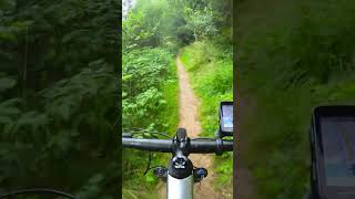 Down Hill 03 MTB SINGLE TRACKS MEER VAN BÜTGENBACH  MTB EIFEL RIT 2 mtb mountainbike downhill [upl. by Leanne196]