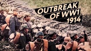 Why The First World War Failed to End in 1914 WW1 Documentary [upl. by Nairadas253]