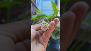 Swiss beauty concealer Sand Sable shorts shortvideo swissbeauty [upl. by Bowen]