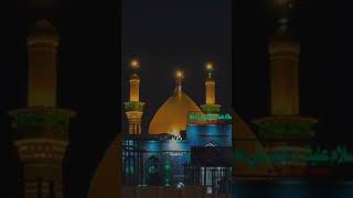 Karbala Karbala tare do badshah 🙌🏼🥹❤️🫀shorts youtubeshorts karbala [upl. by Balac]