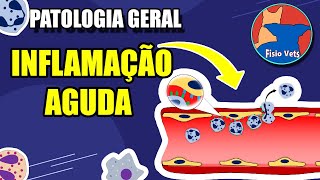 Inflamação aguda  fenômenos vasculares e celulares  Patologia Veterinária [upl. by Nowujalo]