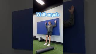 Scapula wall slides against the wall are an awesome warmup [upl. by Francois803]