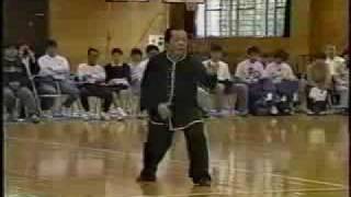 Xing Yi Quan demonstration by Feng zheng Bao [upl. by Oir698]