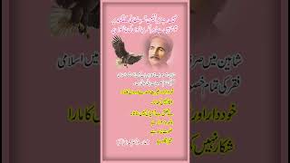 Iqbal Ka Shaheen  Poetry of Allama Iqbal  By Sir Mubarik ARaza [upl. by Namlaz511]