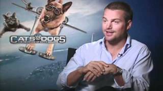 Cats and Dogs The Revenge of Kitty Galore  Exclusive Chris ODonnell Interview [upl. by Burck]