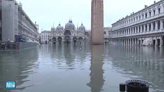 Codice rosso a Venezia suonano le sirene in piazza San Marco [upl. by Capriola64]